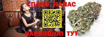 каннабис Будённовск